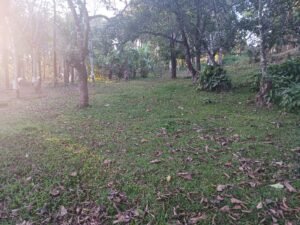 Rainwater Harvesting